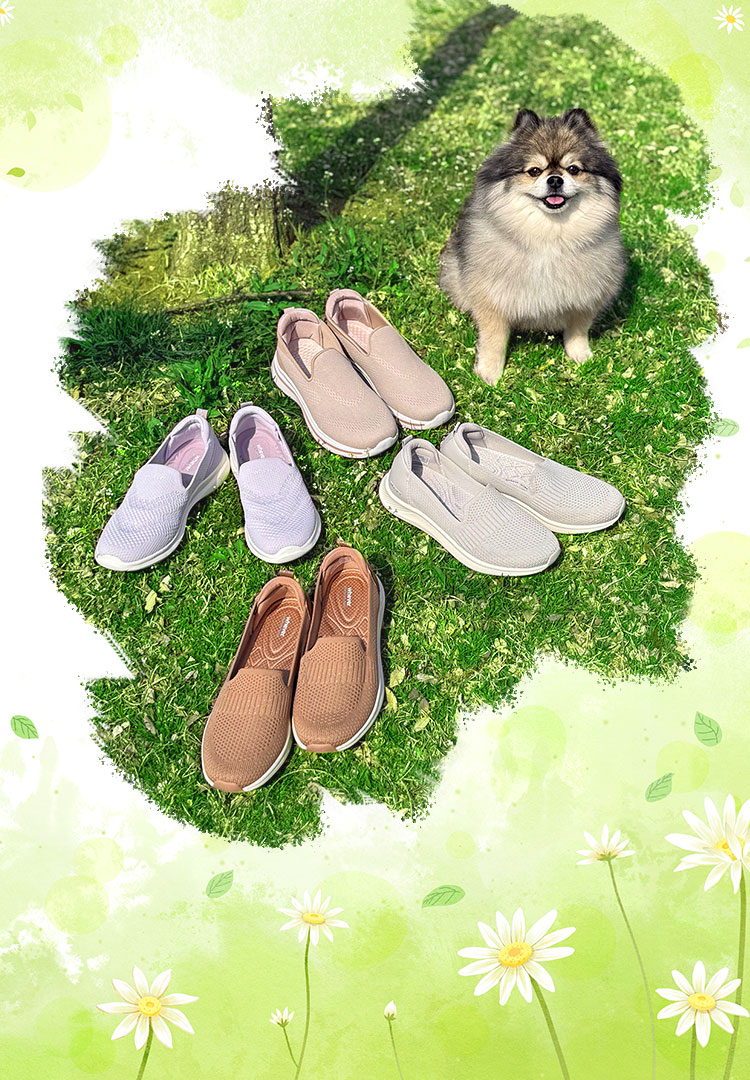 산책가자 이벤트