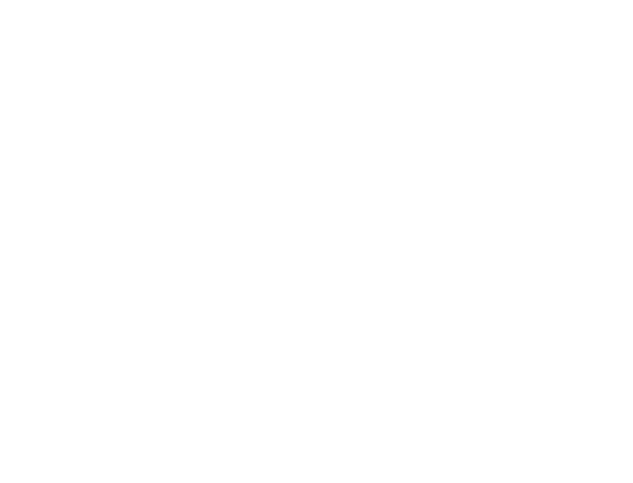 ADIDAS Evo SL
