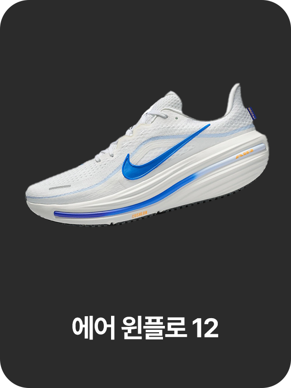 윈플로 12