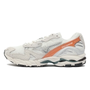 웨이브 라이더 10