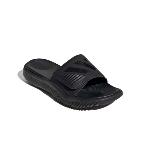 알파리스폰스 1.0 슬라이드