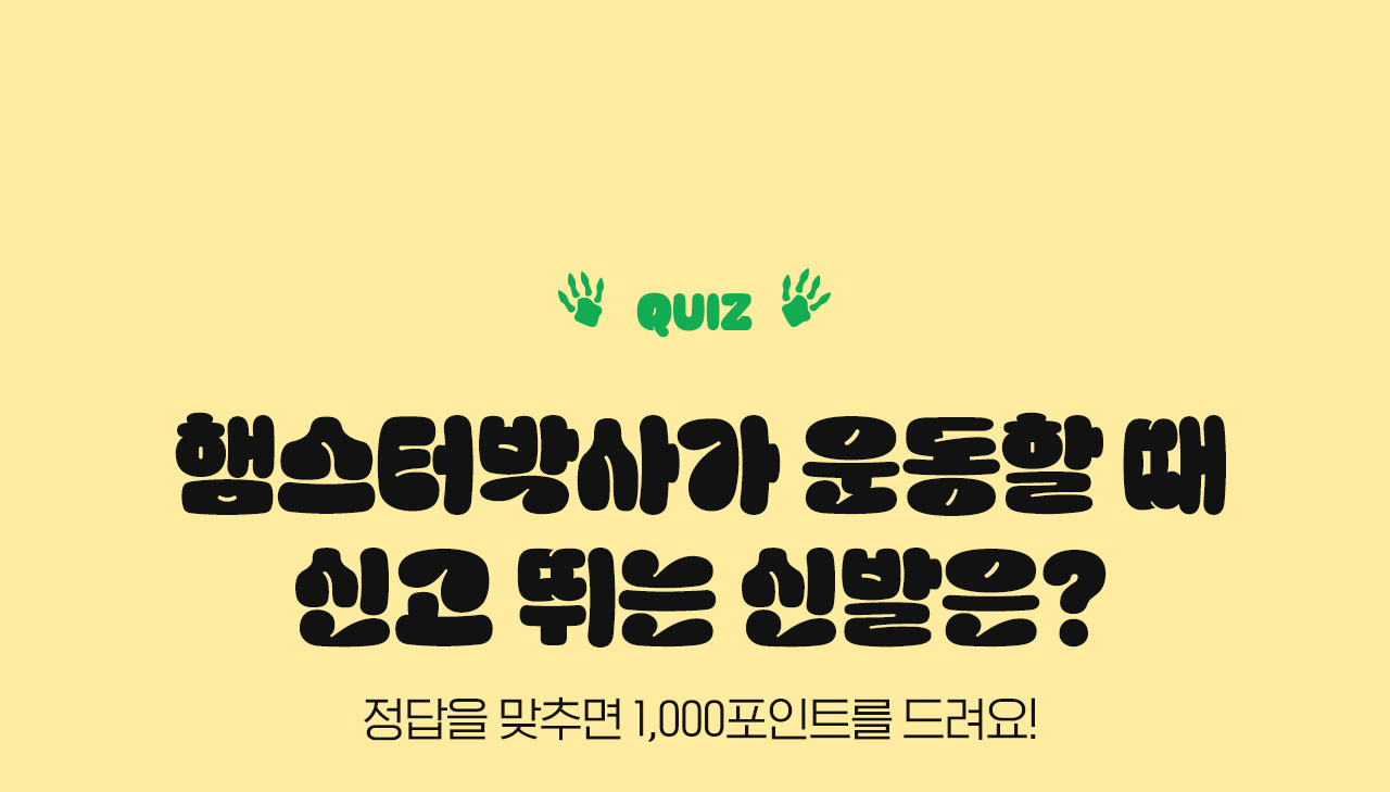 quiz