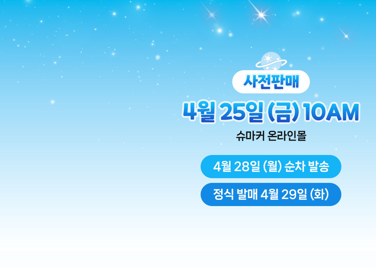 일정
